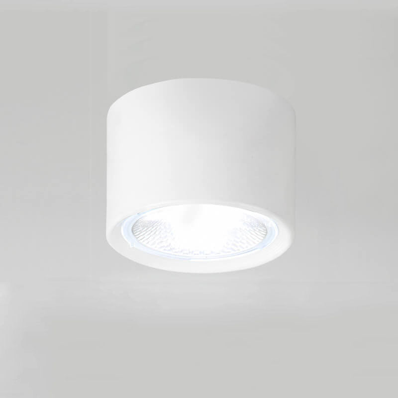 Nordic Cylinder Spotlight LED Flush Mount Ceiling Light