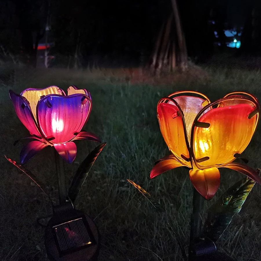 Lumière paysagère LED en fer à verre à fleurs solaire minimaliste moderne et étanche pour jardin 