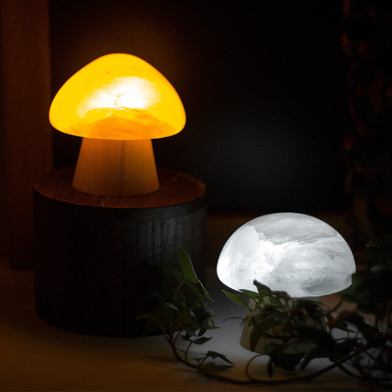 Lampe de table USB LED à base de bois de champignon créatif nordique 