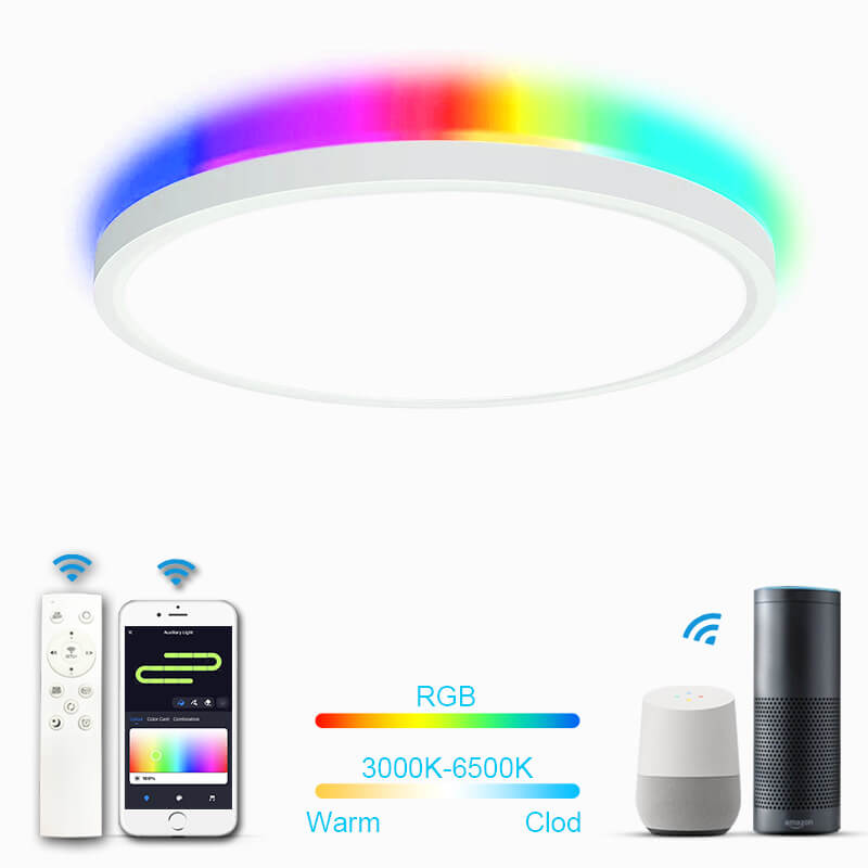 Modern Minimalist Round White APP Smart Control Bluetooth LED Flush Mount Light