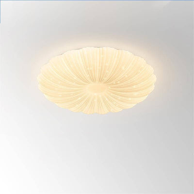 Modern Minimalist Shell Acrylic LED Flush Mount Ceiling Light