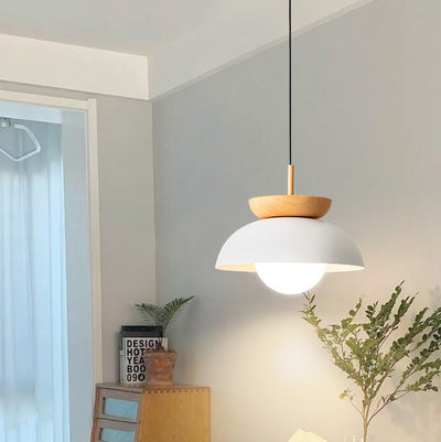 Moderne minimalistische runde Pendelleuchte aus Eisen mit 1 Licht für Wohnzimmer 