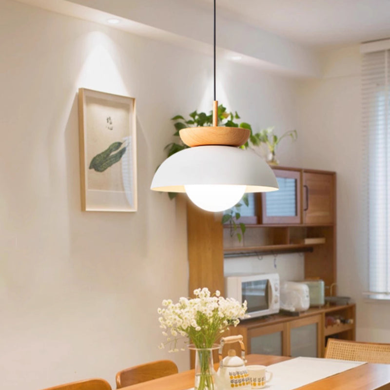 Moderne minimalistische runde Pendelleuchte aus Eisen mit 1 Licht für Wohnzimmer 