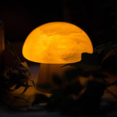 Nordic Creative Mushroom Ore Wood Base LED USB Table Lamp