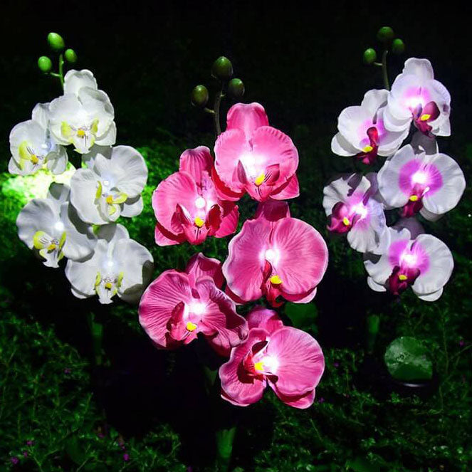 Solar Modern Silk Ground Plug Simulation Phalaenopsis LED Outdoor Light