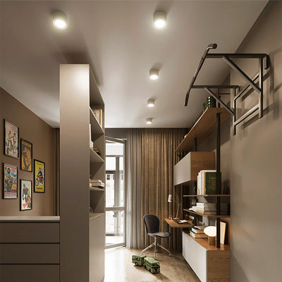 Modern Minimalist Cylinder Adjustable Angle Aluminum LED Flush Mount Ceiling Light For Living Room