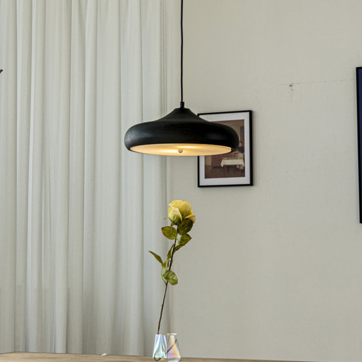 Suspension Contemporaine Rétro en Fer avec Dôme Rond à 2 Lumières pour Salle à Manger 