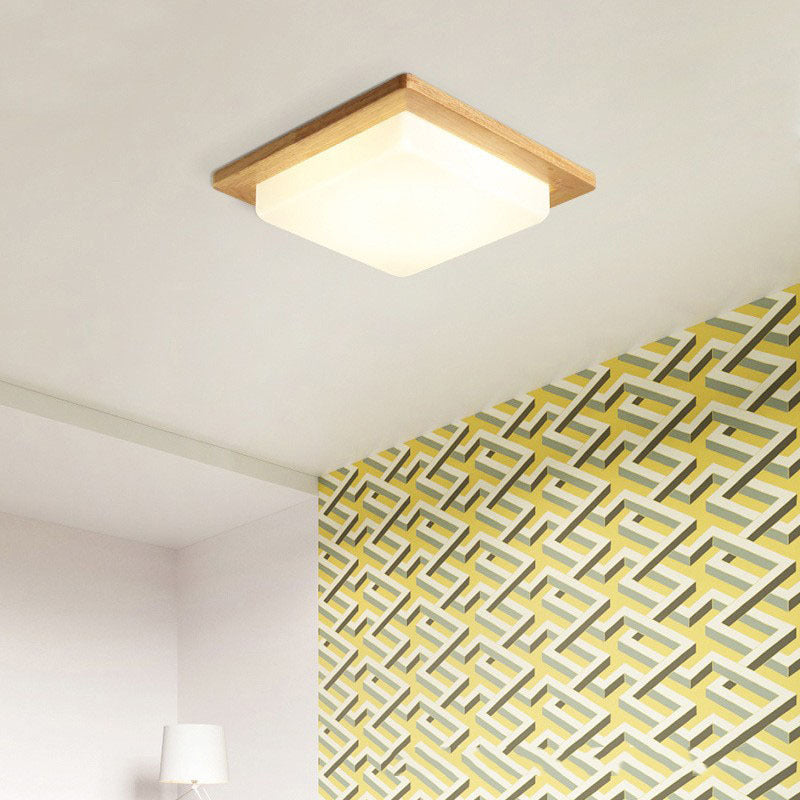 Contemporary Nordic Rubberwood Acrylic Plum Shape LED Flush Mount Ceiling Light For Living Room