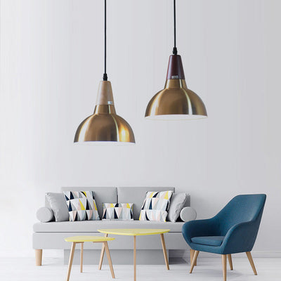 Zeitgenössische Einfachheit Eisen Halbkreis Schatten 1-Licht Pendelleuchte für Wohnzimmer 