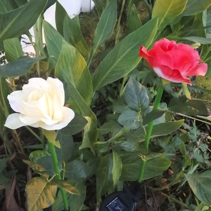 Luz Solar Moderna de Jardín Rosa LED con Enchufe de Tierra para Exteriores 