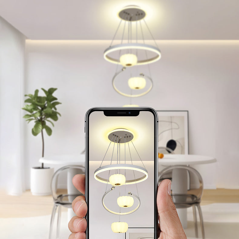 Chandelier LED en fer acrylique pour salon avec branche ronde minimaliste moderne et citrouille 