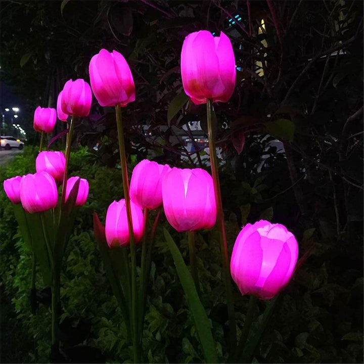 Contemporary Creative Outdoor Solar Tulip LED Waterproof Lawn Ground Decorative Insert Landscape Light