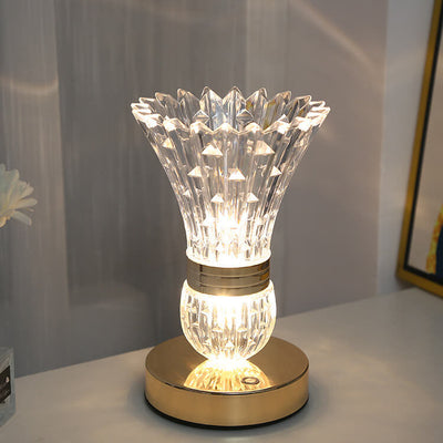 Nordic Creative Acrylic Vase Shape Hardware Base LED USB Table Lamp