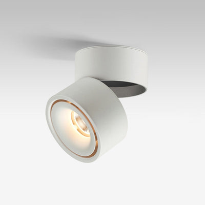 Modern Minimalist Cylinder Adjustable Angle Aluminum LED Flush Mount Ceiling Light For Living Room