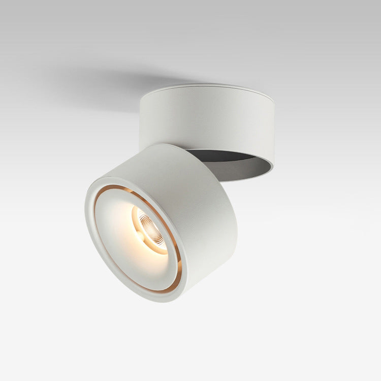 Modern Minimalist Cylinder Adjustable Angle Aluminum LED Flush Mount Ceiling Light For Living Room