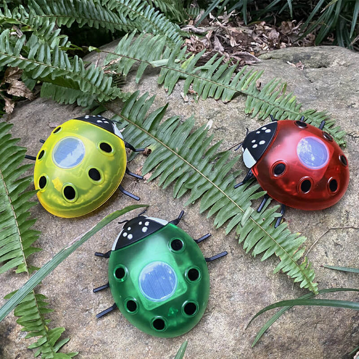 Luz de Cerca de Césped al Aire Libre LED de Plástico Creativa de Animal Escarabajo Impermeable Solar 