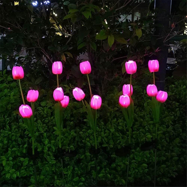 Contemporary Creative Outdoor Solar Tulip LED Waterproof Lawn Ground Decorative Insert Landscape Light