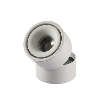 Modern Minimalist Cylinder Adjustable Angle Aluminum LED Flush Mount Ceiling Light For Living Room