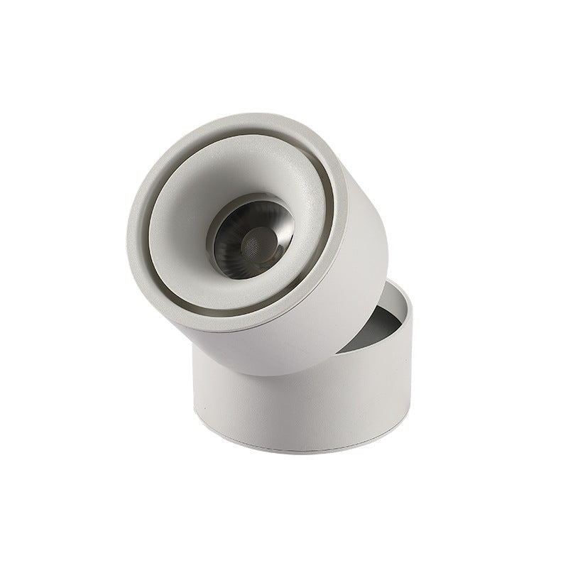 Modern Minimalist Cylinder Adjustable Angle Aluminum LED Flush Mount Ceiling Light For Living Room