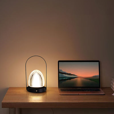 Danish Creative Portable Acrylic Hazelnut Shade Iron Base LED USB Table Lamp