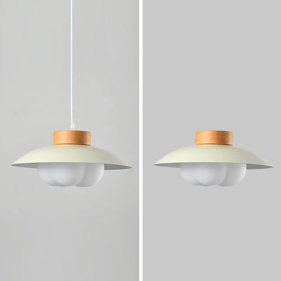 Zeitgenössische nordische Eisenholz PE Schüssel 1/2/3 Licht Kronleuchter Insel Licht für Esszimmer 