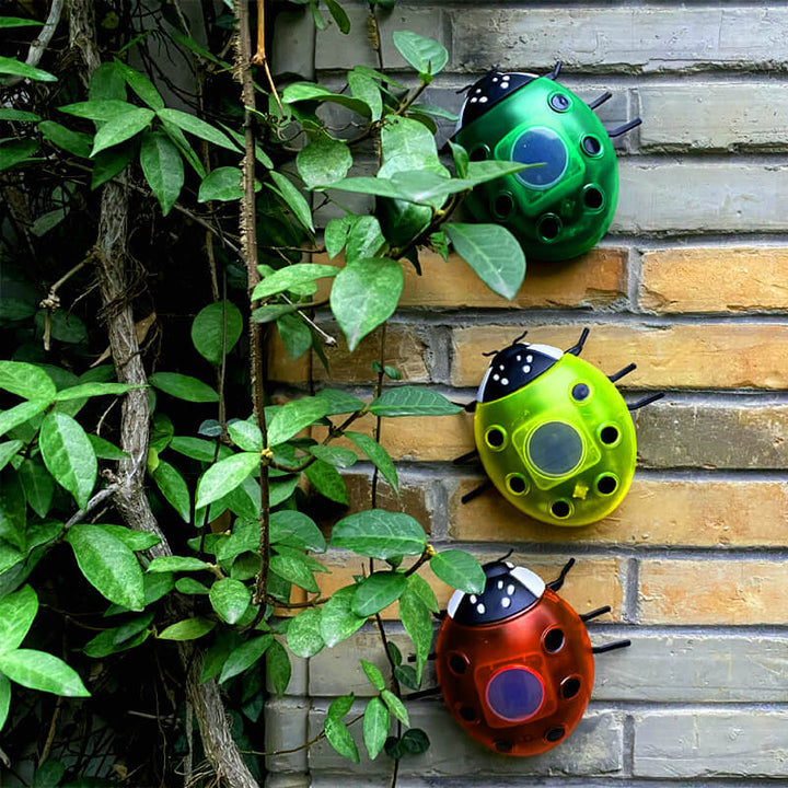Luz de Cerca de Césped al Aire Libre LED de Plástico Creativa de Animal Escarabajo Impermeable Solar 