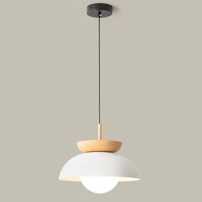 Moderne minimalistische runde Pendelleuchte aus Eisen mit 1 Licht für Wohnzimmer 