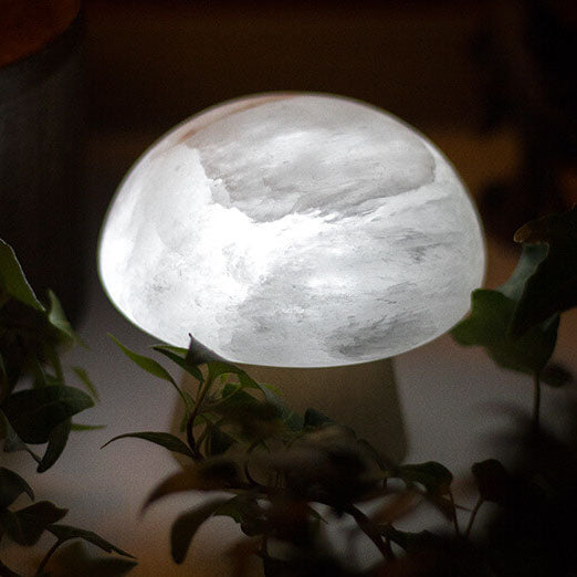 Lampe de table USB LED à base de bois de champignon créatif nordique 