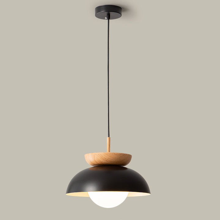 Lustre suspendu rond minimaliste moderne en fer à 1 lumière pour salon 