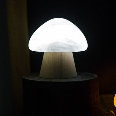 Nordic Creative Mushroom Ore Wood Base LED USB Table Lamp