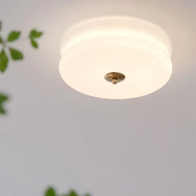 Modern Minimalist Round Iron Glass LED Flush Mount Ceiling Light For Living Room