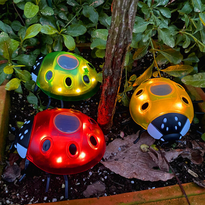 Luz de Cerca de Césped al Aire Libre LED de Plástico Creativa de Animal Escarabajo Impermeable Solar 