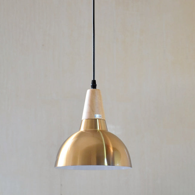 Zeitgenössische Einfachheit Eisen Halbkreis Schatten 1-Licht Pendelleuchte für Wohnzimmer 