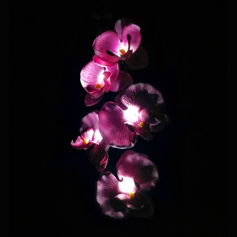 Solar Modern Silk Ground Plug Simulation Phalaenopsis LED Outdoor Light