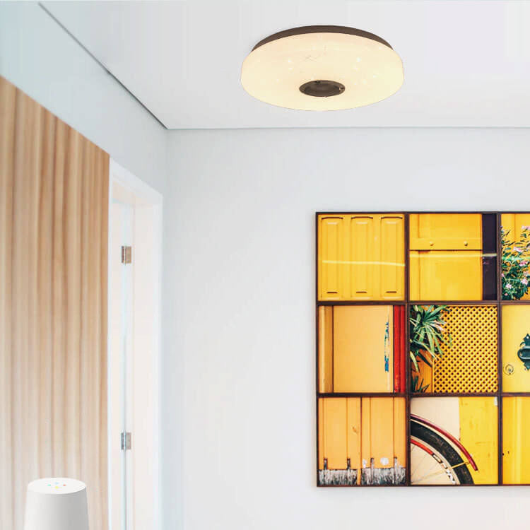 Luz de Montaje Empotrado LED Redonda Blanca Minimalista Moderna con Control Inteligente por APP y Bluetooth 