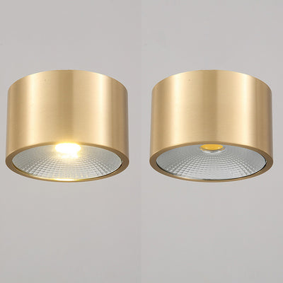 Modern Minimalist Cylinder Brass LED Flush Mount Ceiling Light For Living Room