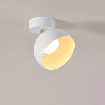 Modern Simplicity Hardware Iron Flower 1-Light Semi-Flush Mount Ceiling Light For Entryway
