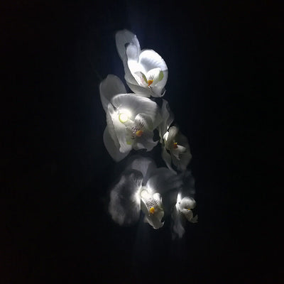 Solar Modern Silk Ground Plug Simulation Phalaenopsis LED Outdoor Light