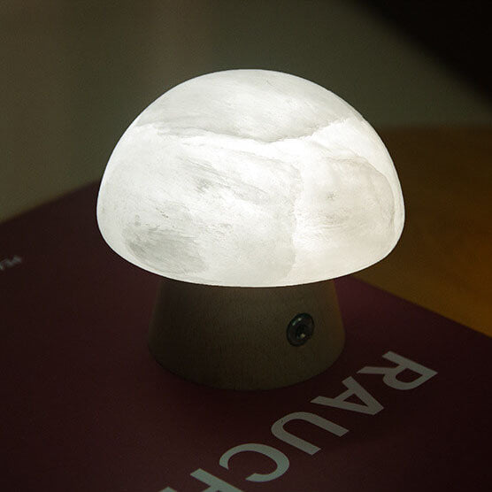 Nordic Vintage Clear Dome Acryl LED USB Tischlampe 