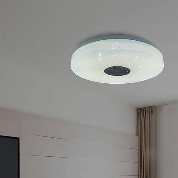 Modern Minimalist Round White APP Smart Control Bluetooth LED Flush Mount Light