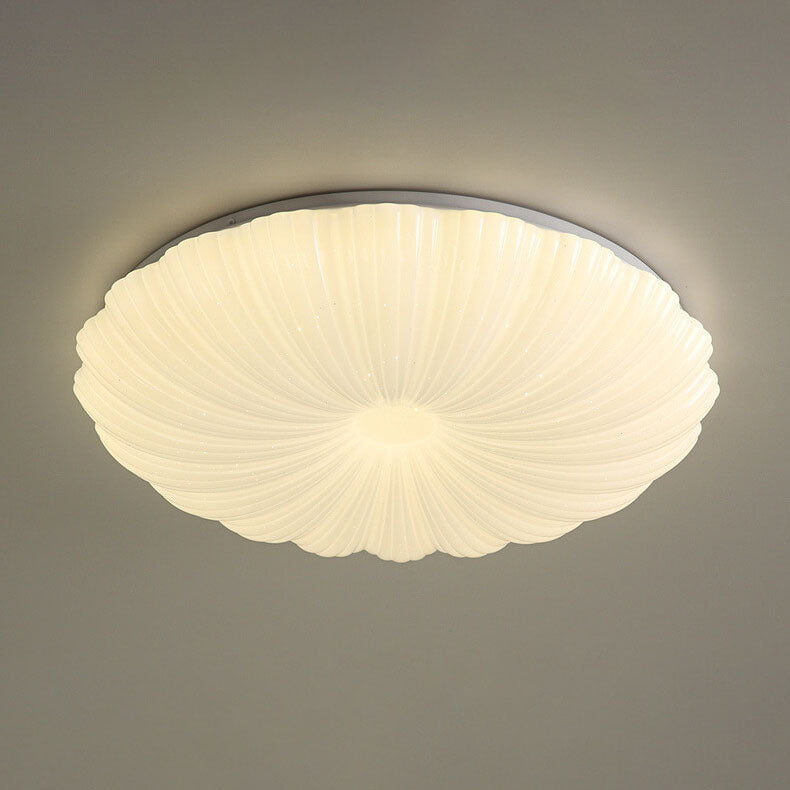 Modern Minimalist Shell Acrylic LED Flush Mount Ceiling Light