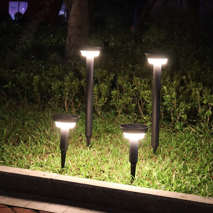 Lumières d&