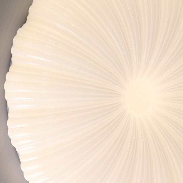 Modern Minimalist Shell Acrylic LED Flush Mount Ceiling Light