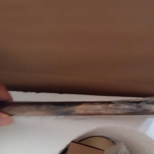 Lámparas de pie con brazo articulado de 1 luz de bronce industrial 