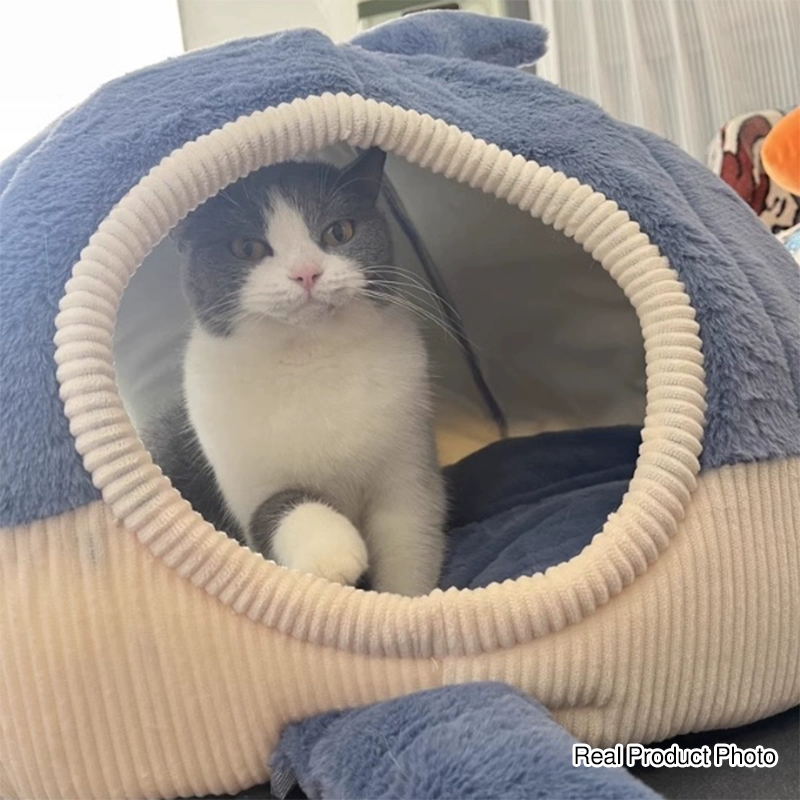 Lit contemporain créatif Petit requin lit pour chat en fourrure de lapin en coton PP lit pour chien pour chambre à coucher 