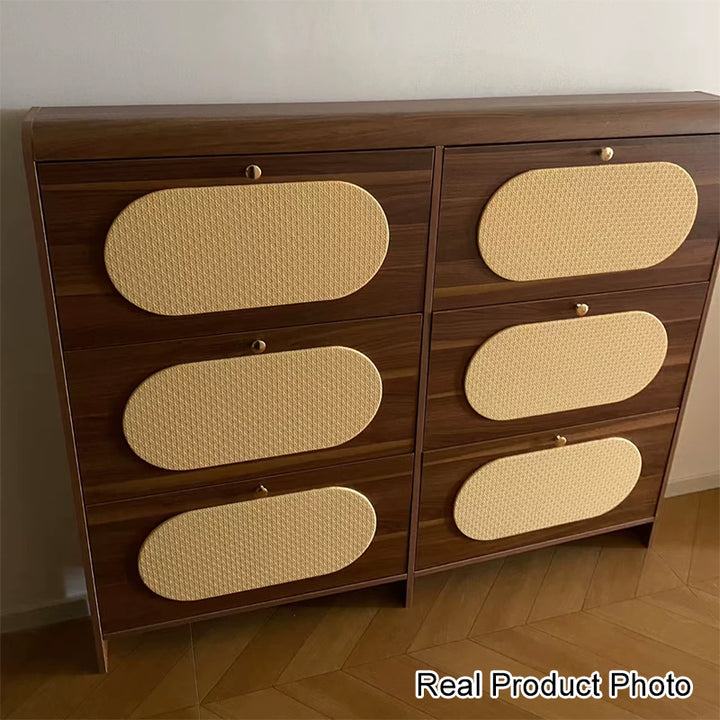 Almacenamiento de Zapatos Rectangular de Plástico HDF Retro Contemporáneo con 6 Gabinetes para la Entrada 