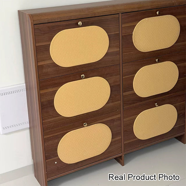 Almacenamiento de Zapatos Rectangular de Plástico HDF Retro Contemporáneo con 6 Gabinetes para la Entrada 
