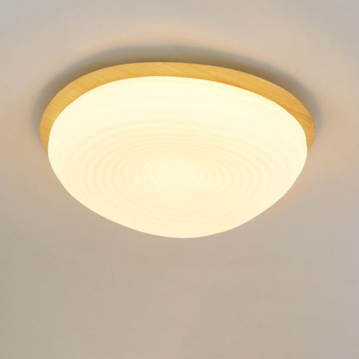 Modern Minimalist Oval Iron PE Rotomolded LED Flush Mount Ceiling Light For Bedroom