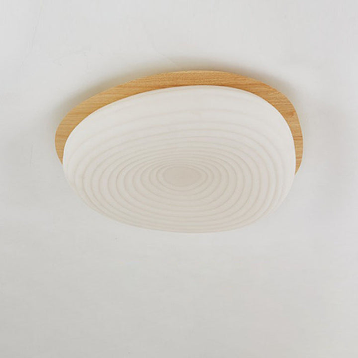 Modern Minimalist Oval Iron PE Rotomolded LED Flush Mount Ceiling Light For Bedroom