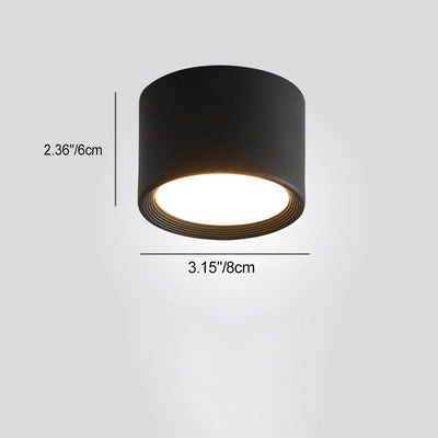 Modern Minimalist Cylinder Aluminum Acrylic LED Flush Mount Ceiling Light For Hallways